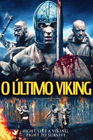 Imagem O Último Viking
