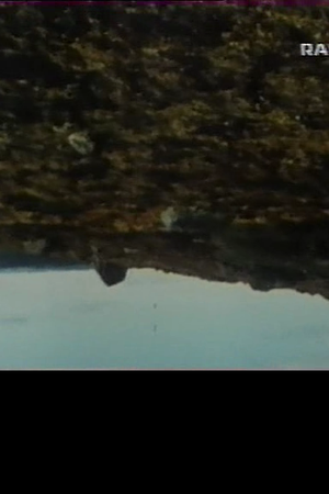 Mmyif4dvw7whrp5tklhq1lvvwxo