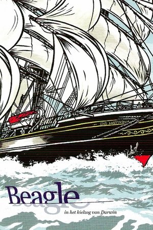Beagle: In Darwin's Wake