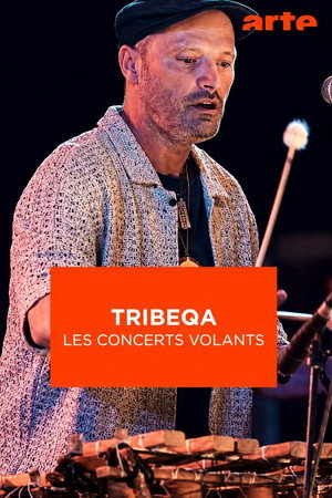 TribeQa - Les Concerts Volants poster