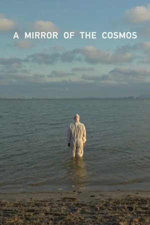 A Mirror of the Cosmos poster