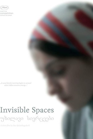 Invisible Spaces