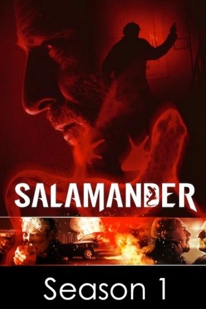 Salamandre saison 1