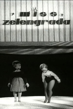The Beauty Pageant of Greentown poster