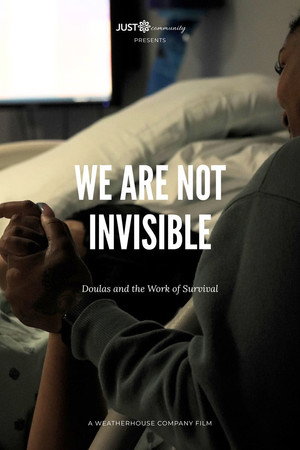 We Are Not Invisible: Doulas and the Work of Survival poster