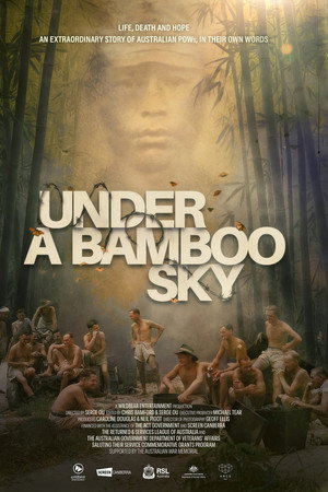Under a Bamboo Sky poster