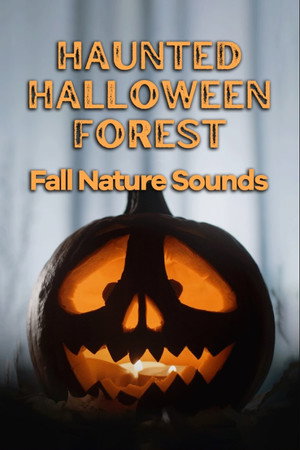 Haunted Halloween Forest: Fall Nature Sounds poster