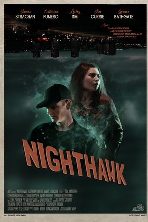 Nighthawk