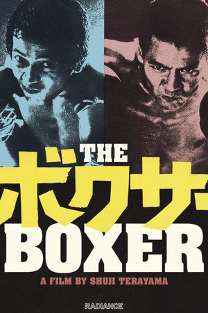 The Boxer