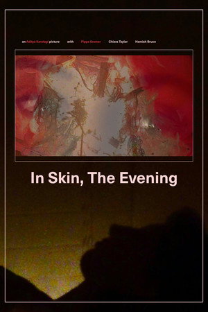 In Skin, The Evening poster