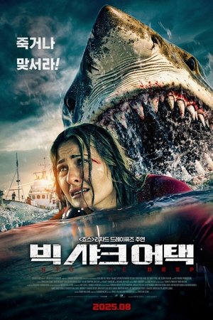 빅 샤크 어택