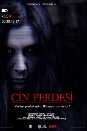 Cin Perdesi