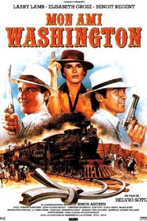 Mon Ami Washington
