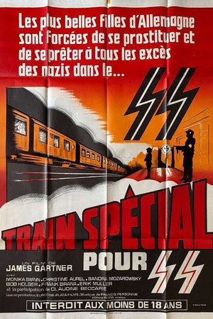 Train spécial pour Hitler