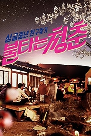 불타는 청춘