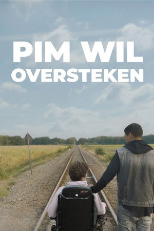 Pim wil oversteken poster