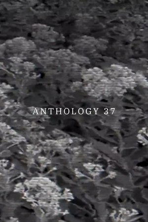 Anthology 37