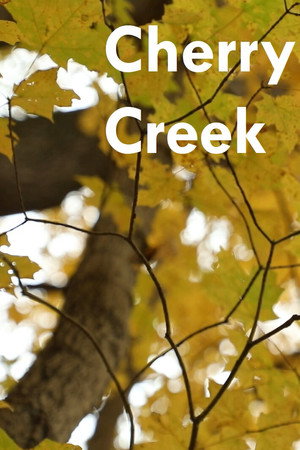 Cherry Creek Cherry Creek