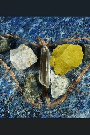 Vitruvian Moth