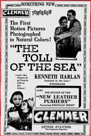 The Toll of the Sea poster