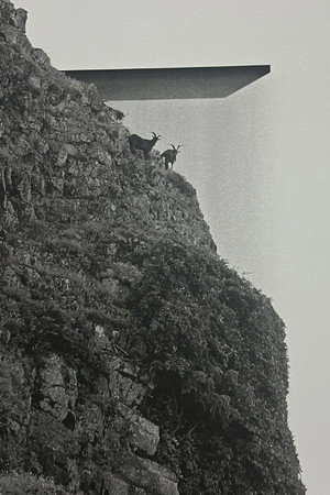 Orchid Island poster