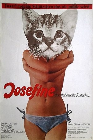Josefine - das liebestolle Kätzchen