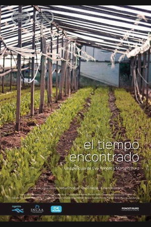 El tiempo encontrado poster