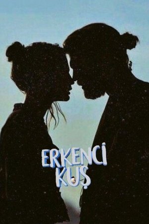 Erkenci Kuş