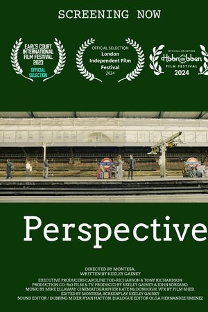 Perspective