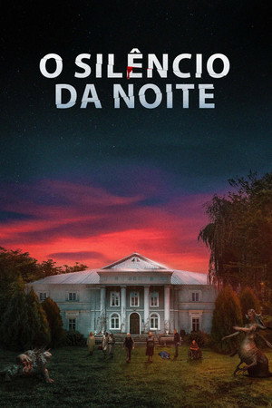Poster do filme Night Silence