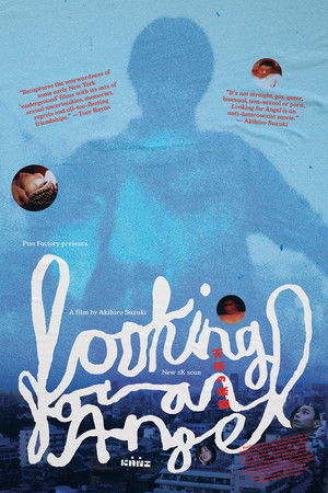 Looking for an Angel