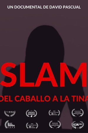 Slam, from Heroin to Meth poster