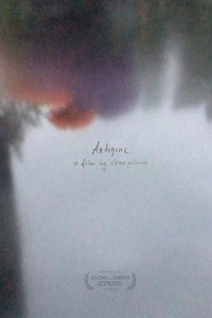 Antigona poster