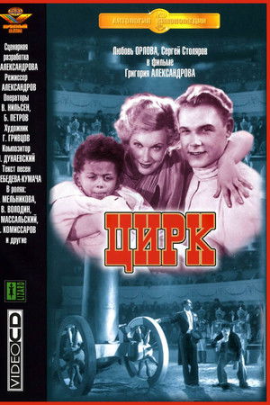 Nikpo5yvcwfazs2js35xjy1uqd2