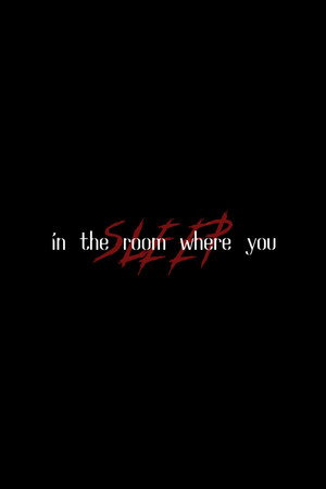 In the Room Where You Sleep poster