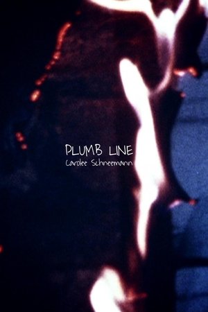 Plumb Line