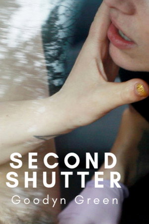 Second Shutter poster
