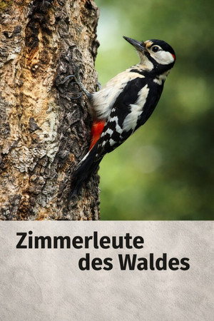 Woodpecker poster