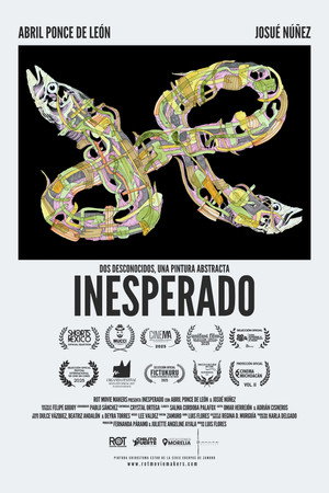 Inesperado poster