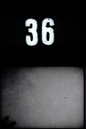 Fluxfilm No. 36 poster