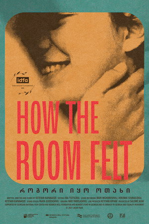 How the Room Felt poster