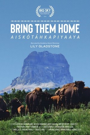 Aiskótáhkapiyaaya