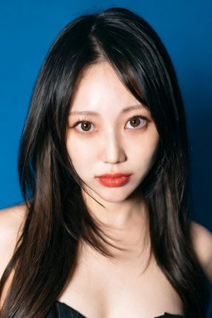 Portrait of Han Su-ji