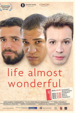 Life Almost Wonderful poster