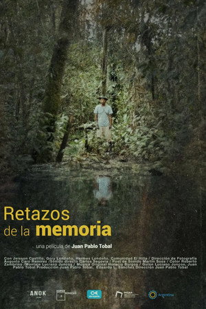 Remnants of memory poster