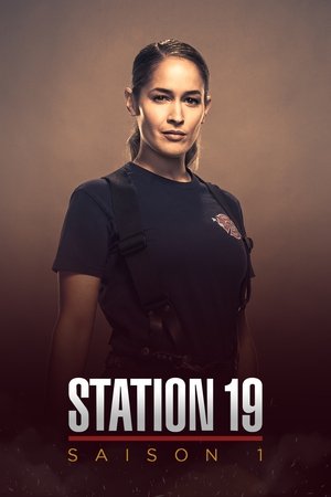 Grey's Anatomy : Station 19