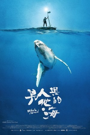 Whale Island