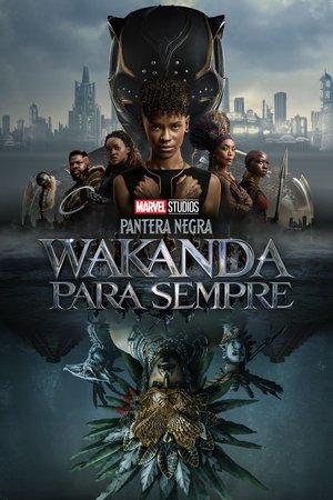 Imagem Pantera Negra: Wakanda para Sempre