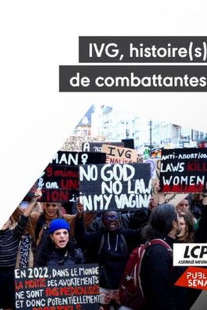IVG : Histoire(s) de combattantes poster