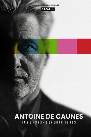 Antoine de Caunes : la vie rêvée d'un enfant du rock